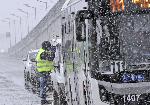 София - Симеоновско шосе - убийство на Николай Дракополов - Втори оглед