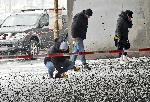 София - Симеоновско шосе - убийство на Николай Дракополов - Втори оглед