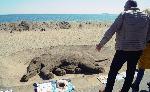 Бургас - Пясъчна скулптура на Баба Ванга