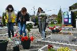 Симеоновград - Панихида за „Шестте великденски ангели“
„Шестте великденски ангели“