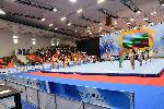 София - Световна купа по спортна акробатика