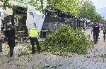 София - Паднало дърво
