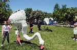 Бургас - -Флора 2021