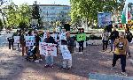 Варненци протестират срещу изсичането на защитена гора