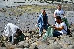 Панчарево - Почистване на зоната около Панчаревското езеро