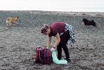 Бургас – Почистване на плажа