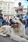София - протест "Правосъдие без каскет"