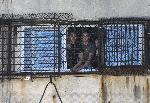 София - Турнир по бокс в затвора