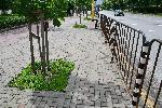 София - Премахване на незаконни павилиони - Болница "Свети Иван Рилски"