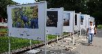 Варна - Изложба на Ладислав Цветков