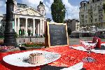 Доброволци протестираха против гушенето за гъши и патешки дроб