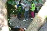 Жестоко убийство в парка на столичния квартал Бояна