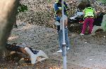 София - Убийство - Бояна