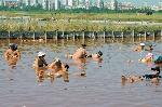 Бургас - Черноморски лечебни солници