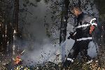 Свиленград - Пожар в борова гора