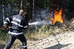 Свиленград - Пожар в борова гора