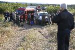 Свиленград - Пожар в борова гора