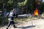 Свиленград - Пожар в борова гора