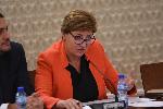 София - Парламентарна комисия - Заседание