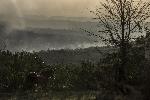 Перник -Пожар