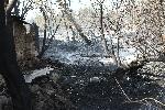 Пожарът в Старосел е локализиран