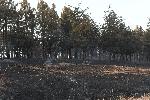 Старосел -Пожар