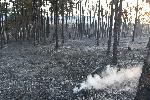 Старосел -Пожар