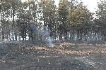 Старосел -Пожар