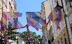 Варна - Празник на Варна