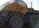 Карнобат – Катастрофа с влак и камион