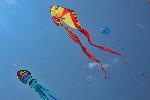 Варна - Фестивал на хвърчилата