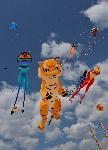 Варна - Фестивал на хвърчилата