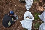 почистване в Централен балкан