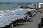 Бургас-плаж покрит с водорасли