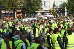 София - Протест