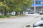 София - Убийство на стадион Георги Аспарухов