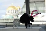 София - Международно биенале на стъклото