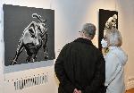 София – Откриване изложбата изложба „Disconnect“ в галерия „Vivacom Art Hall Оборище 5”
