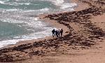Водорасли превзеха бургаския плаж