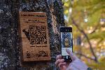 Табели с QR код разказват защо са важни мъртвите дървета в Природен парк "Витоша"