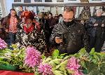 Варна - Архангеловден