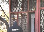 София - Акция срещу купуването на гласове