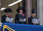Лондон – Честване на Remembrance day (Денят на възпоменанието)