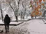 София - Първи сняг