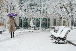 София - Първи сняг