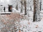 София - снежна обстановка