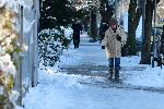 София - непочистени тротоари в София
