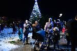 София - Коледна елха - НДК