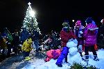 София - Коледна елха - НДК
