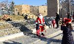 Варна - Дядо Коледа в зоопарка